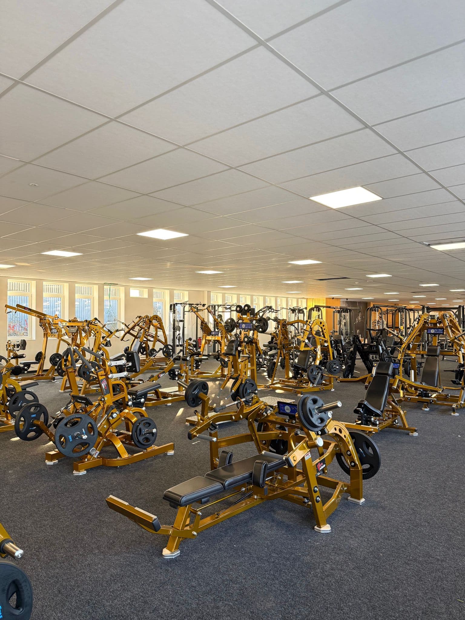 Machines musculation